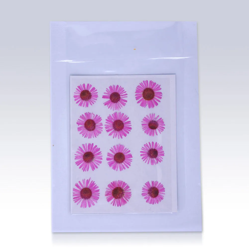 12pcs Dried Real Pressed Flower Stickers dyed pressed flower for phone case,paper goods